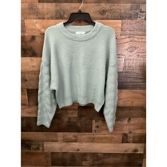 Elodie Sweater Pullover Crew Neck Chunky Knit Green Light Green Women Size XL - Picture 10 of 10